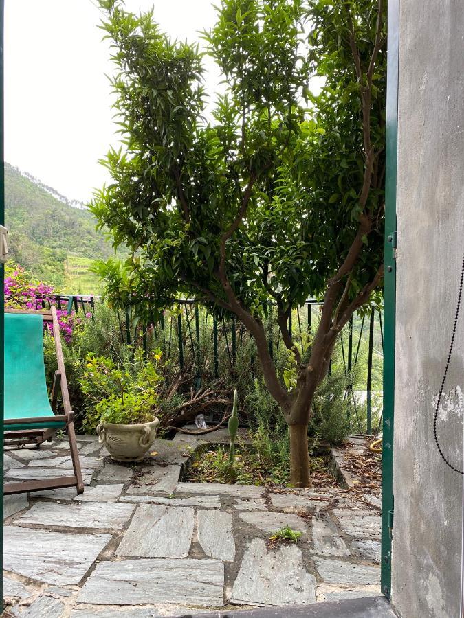 Cottage La Terrazza เลวานโต ภายนอก รูปภาพ