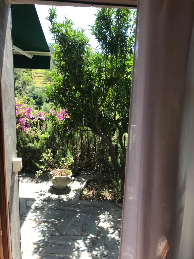 Cottage La Terrazza เลวานโต ภายนอก รูปภาพ